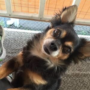 Meet your Posher, Debra